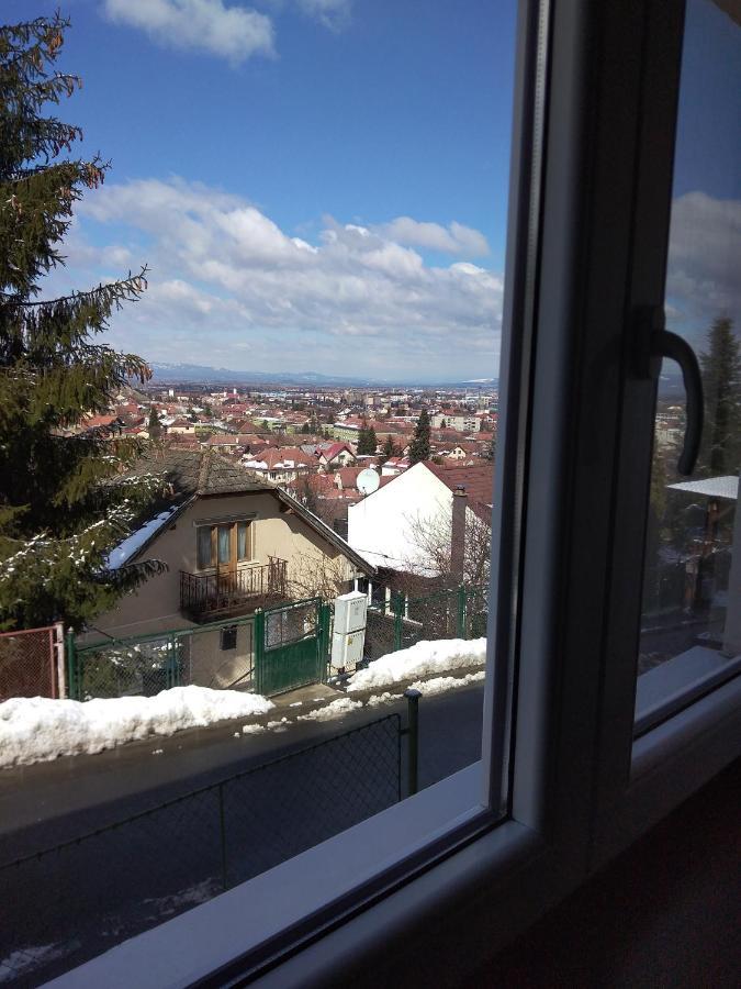 Flori'S Apartment Braşov Exterior foto
